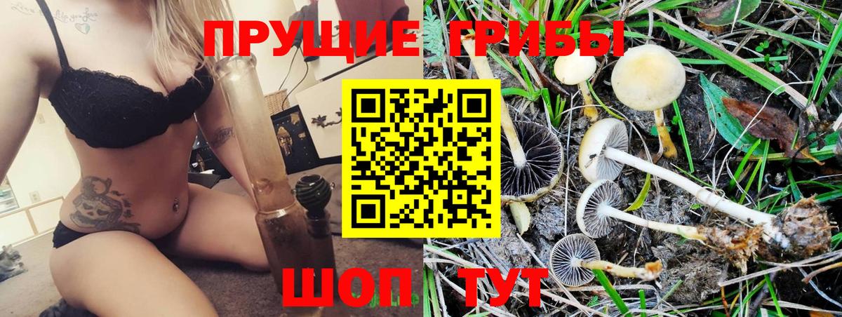 Галлюциногенные грибы мицелий  Псилоцибиновые грибы Magic Shrooms  Волжск 