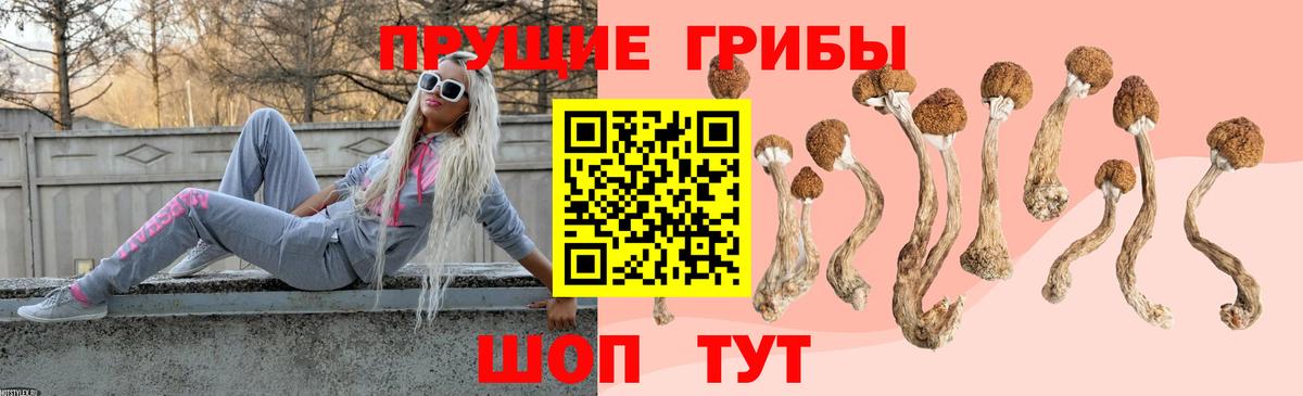 Волжск  Галлюциногенные грибы ЛСД  Вход с VPN 